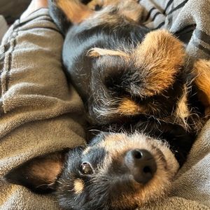 Meet your Posher, Richard